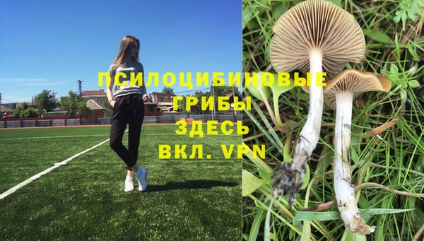 марихуана Козловка