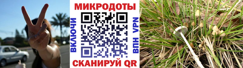 Галлюциногенные грибы мухоморы  Купить где  Мытищи 