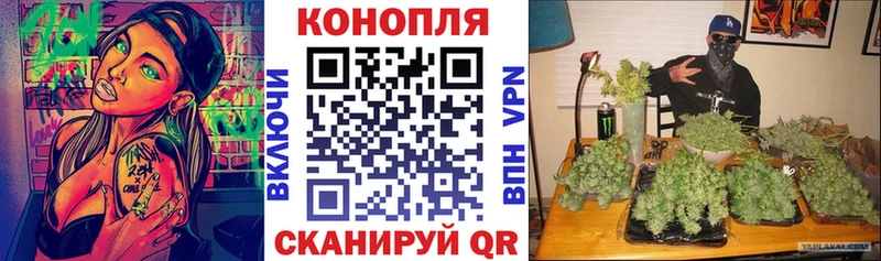 Купить где  Мытищи  Шишки марихуана семена 